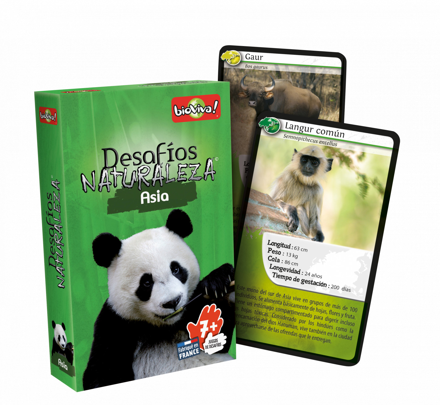 Juego de cartas Bioviva Desafíos Naturaleza Asia