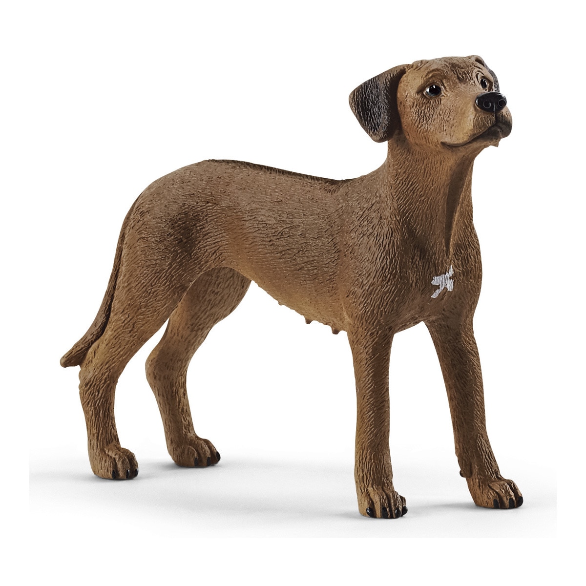 Schleich - Figura Perro Crestado Rodesiano