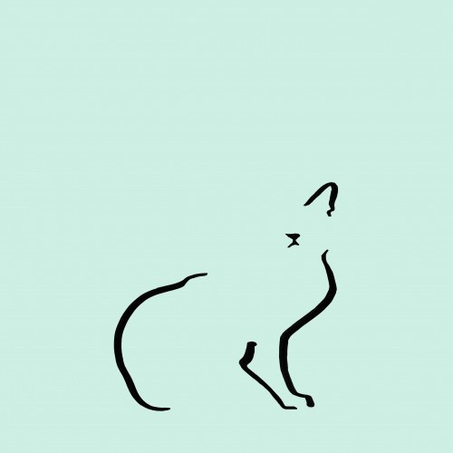 Ilustración de Gato doméstico A4 sin marco color Mint