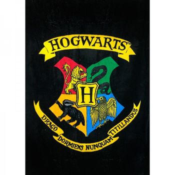 Toalla Hogwarts Harry Potter Algodon