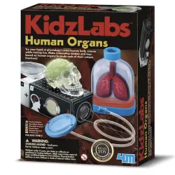 Kidz Labs órganos humanos