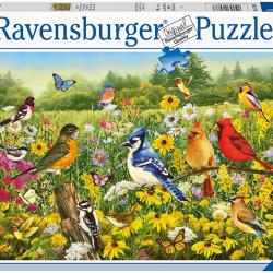 Puzzle 500 piezas Pájaros en el prado