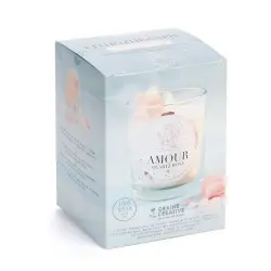 Kit de velas de litoterapia de cuarzo rosa DIY Nature et decouvertes