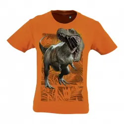 Camiseta Niño Rex color Naranja