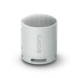 Altavoz Bluetooth Sony SRS-XB100 Gris