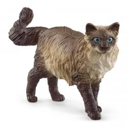 Schleich - Figura Gato Ragdoll