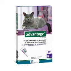 Advantage pipetas antiparasitarias para gatos