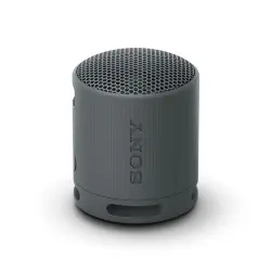 Altavoz Bluetooth Sony SRS-XB100 Negro