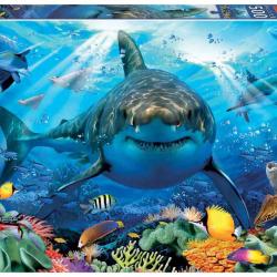 Puzzle Educa Gran tiburón blanco (500 piezas)