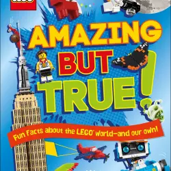 Amazing But True – Fun Facts About the LEGO World and Our Own!