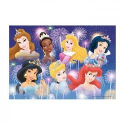 Puzzle 2x24 P - Las Princesas Reunidas / Princesas Disney