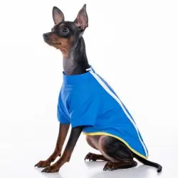 Canguro Samstag Rain para perros color Azul eléctrico