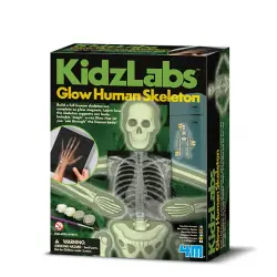 KidzLabs esqueleto humano brillante