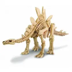 Stegosaurus Excavaci n