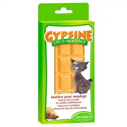 Recarga gypsine biscuit 110gr