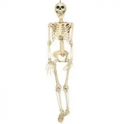 Colgante Esqueleto Humano