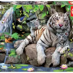 Puzle 1000 piezas tigres blancos de Bengala
